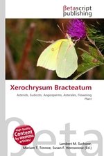 Xerochrysum Bracteatum