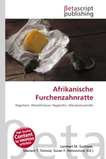 Afrikanische Furchenzahnratte