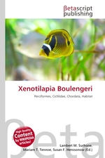 Xenotilapia Boulengeri