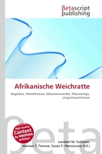 Afrikanische Weichratte