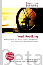 Yezdi Roadking