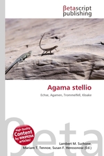 Agama stellio