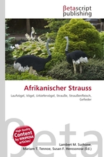 Afrikanischer Strauss