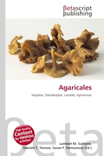 Agaricales