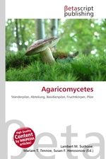 Agaricomycetes