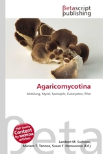 Agaricomycotina