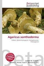 Agaricus xanthoderma