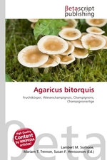 Agaricus bitorquis