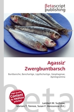 Agassiz Zwergbuntbarsch