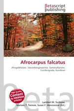 Afrocarpus falcatus