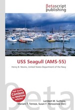 USS Seagull (AMS-55)