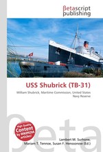 USS Shubrick (TB-31)