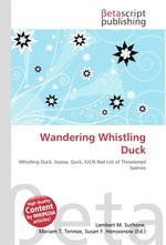 Wandering Whistling Duck