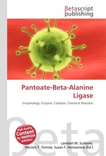 Pantoate-Beta-Alanine Ligase