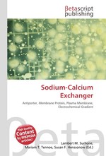 Sodium-Calcium Exchanger