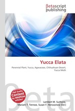 Yucca Elata