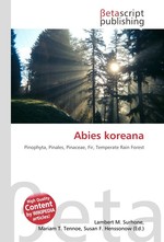 Abies koreana