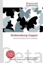 Drakensburg Copper