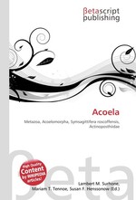 Acoela