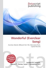 Wonderful (Everclear Song)