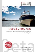 USS Valor (AMc-108)