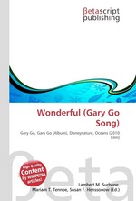 Wonderful (Gary Go Song)