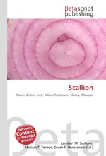 Scallion