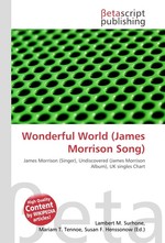 Wonderful World (James Morrison Song)