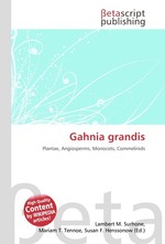 Gahnia grandis