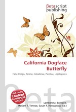 California Dogface Butterfly