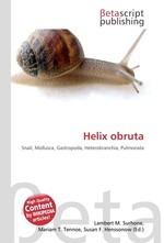 Helix obruta