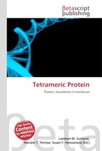 Tetrameric Protein
