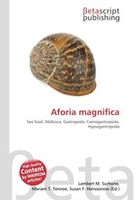 Aforia magnifica