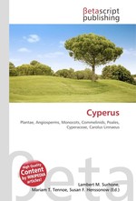 Cyperus