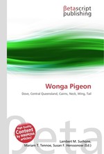 Wonga Pigeon