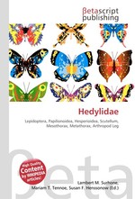 Hedylidae