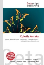 Colotis Amata