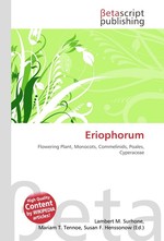 Eriophorum