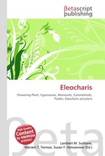 Eleocharis