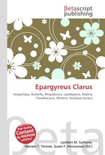 Epargyreus Clarus