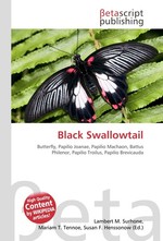 Black Swallowtail