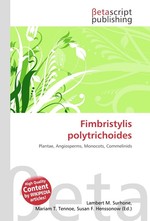 Fimbristylis polytrichoides