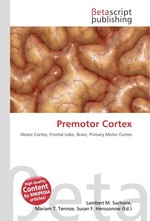 Premotor Cortex