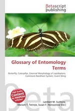 Glossary of Entomology Terms