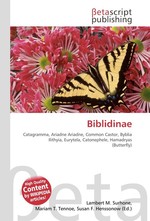 Biblidinae