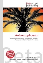 Archontophoenix