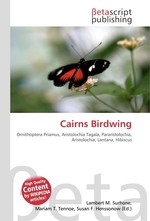 Cairns Birdwing