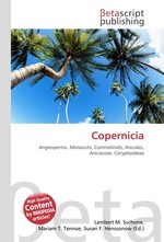 Copernicia