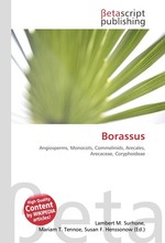 Borassus