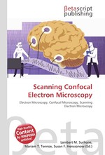 Scanning Confocal Electron Microscopy